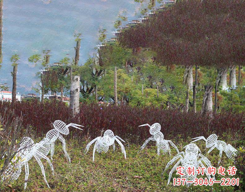 嘉兴不锈钢蚂蚁镂空雕塑艺术与自然的完美结合