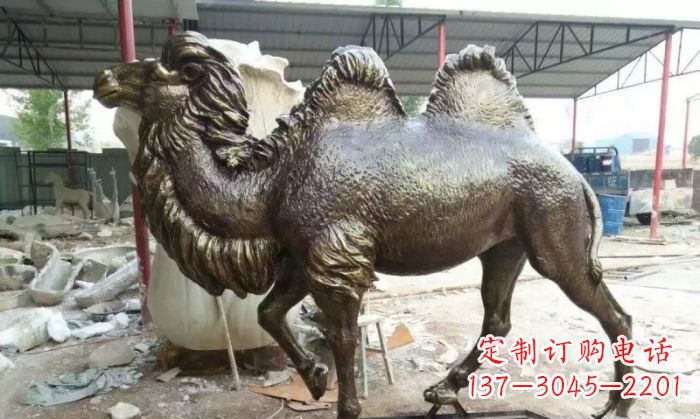 嘉兴铜雕骆驼,精致优雅