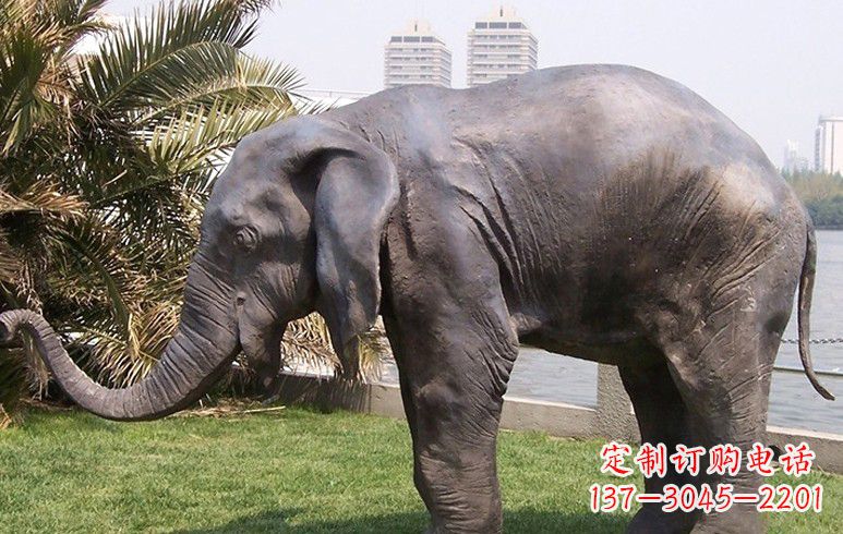 嘉兴高品质铜质大象雕塑