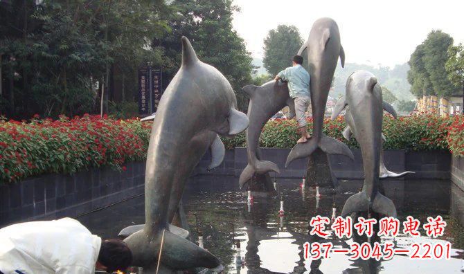 嘉兴铜雕海豚——传递着海洋之美的艺术作品