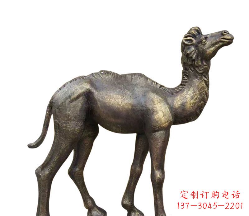 嘉兴奇美洁净的骆驼铜雕