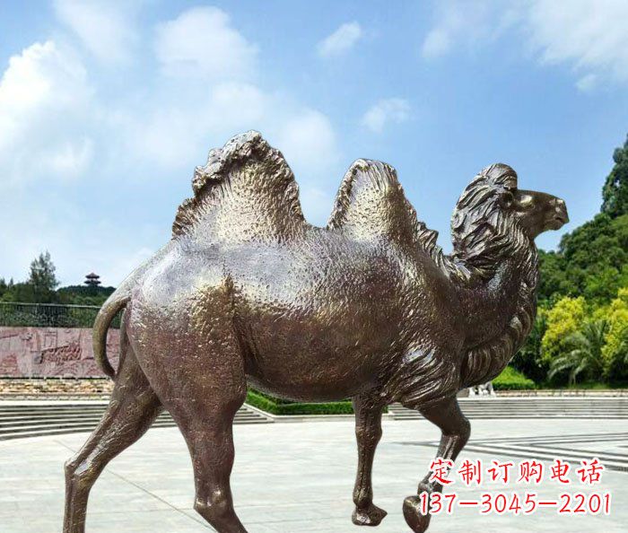 嘉兴欣赏骆驼美感,购买骆驼铜雕