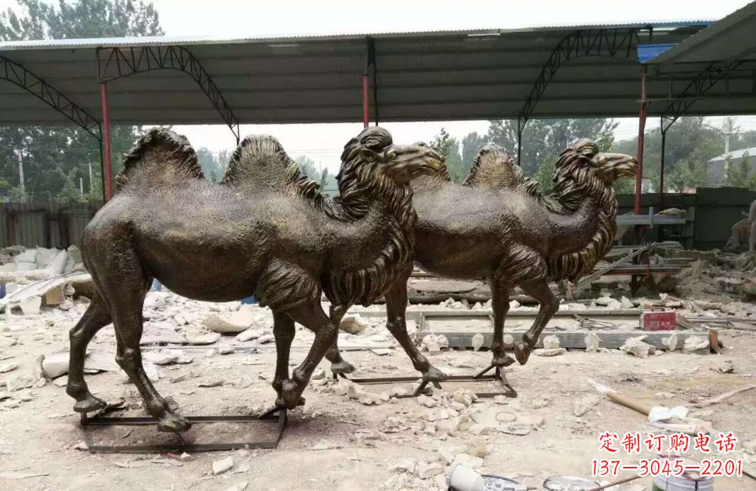 嘉兴欣赏大自然的艺术之作——骆驼铜雕