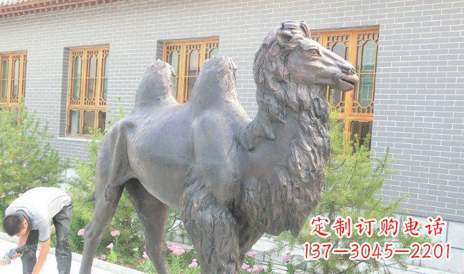 嘉兴骆驼公园动物铜雕 (2)